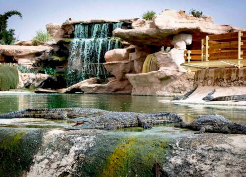 CrocoPark Agadir