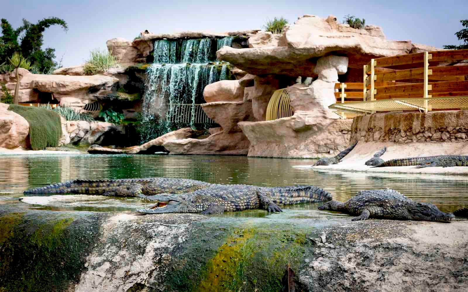 CrocoPark Agadir