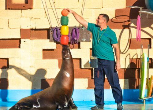 Agadir Dolphin World